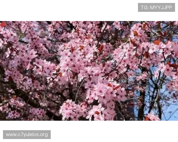 腾龙公司娱乐客服电话全天在线服务,提供专业的游戏技术支持与账号咨询 腾龙公司娱乐客服电话全天在线服务,提供专业的游戏技术支持与账号咨询